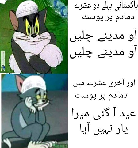 Damadam Roasting image