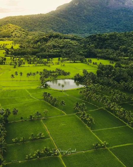 Beautiful Nature image