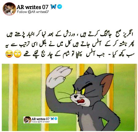 Memes & Satire image