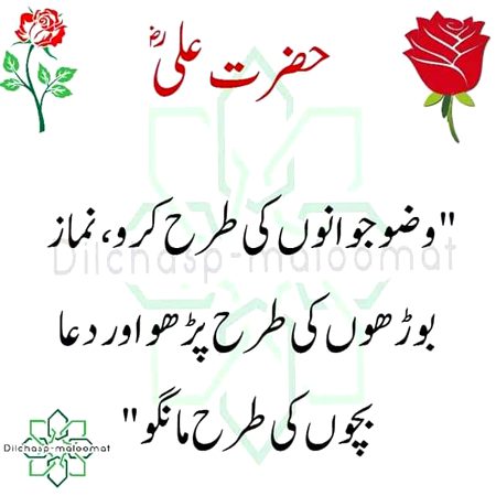 Islamic Quotes image