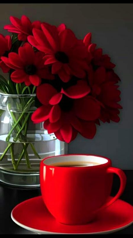 Asslam O Alikum To All sweet dd Family 🌹 kaisa rhaa Eid ka First day 😇