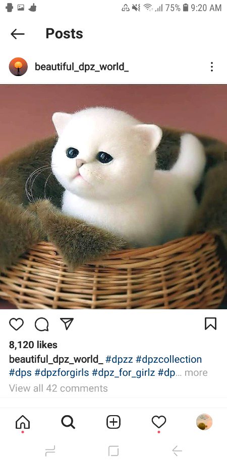 ❤💚💜❤💚💜💜❤💚💜