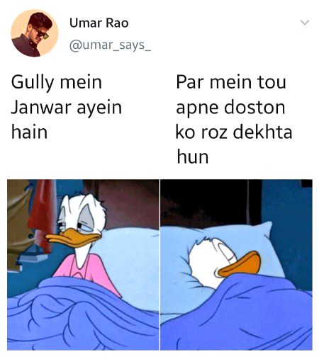 Memes & Satire image
