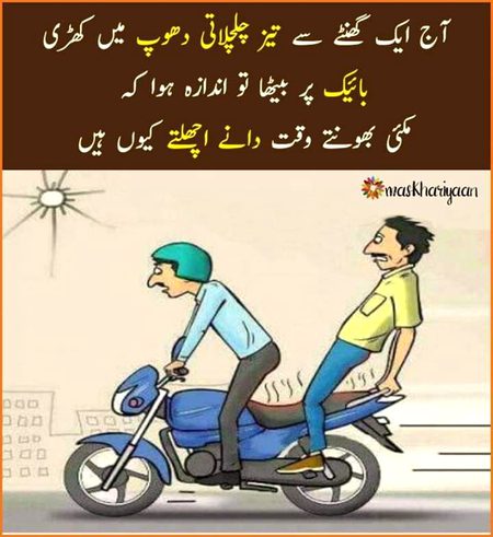 Memes & Satire image