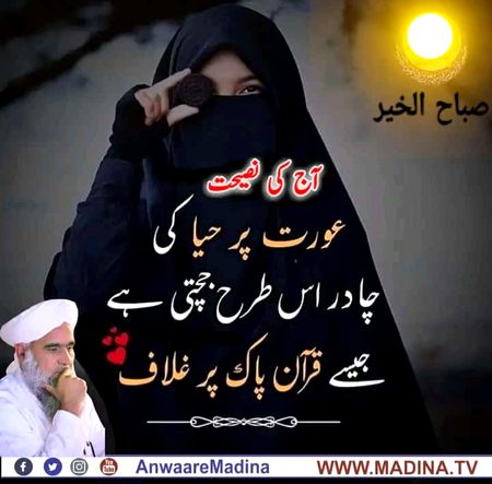 Attitude Quotes image