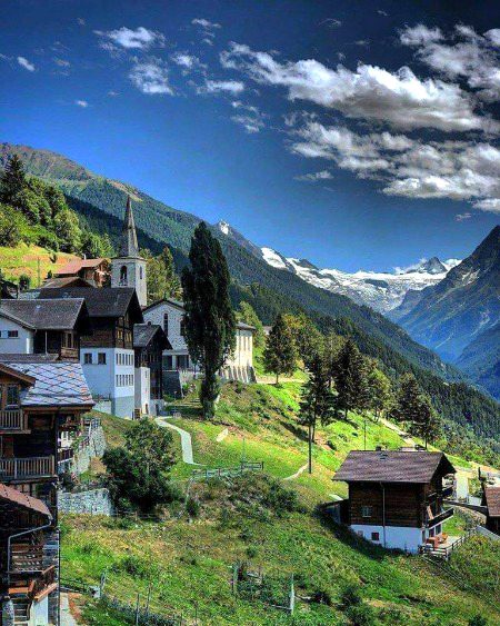 Beautiful Nature image