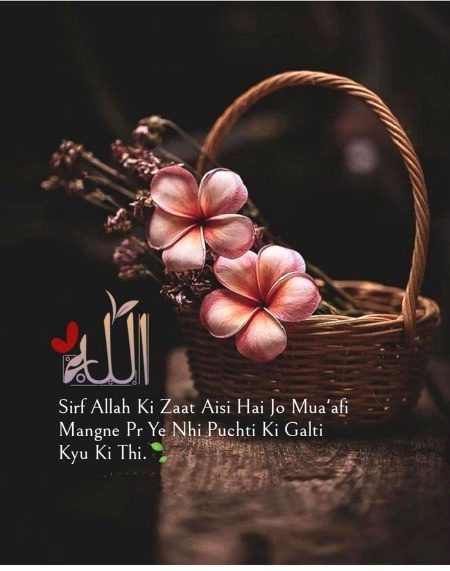 Islamic Quotes image