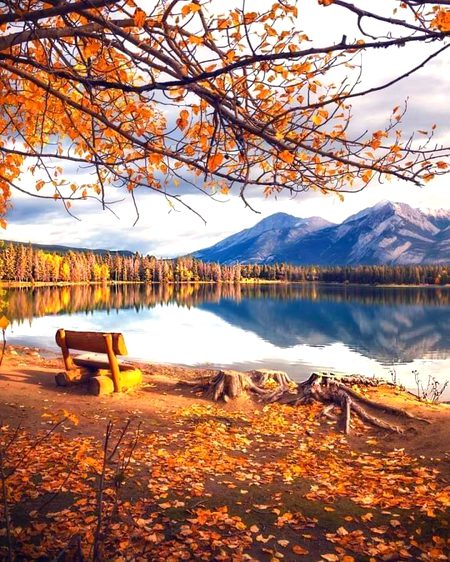 Beautiful Nature image