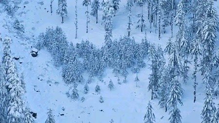 Beautiful Nature image