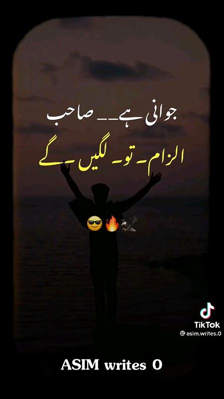 Attitude Quotes image