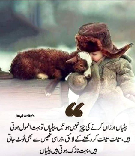 🖤🧡❤️🖤🧡❤️🖤🧡❤️