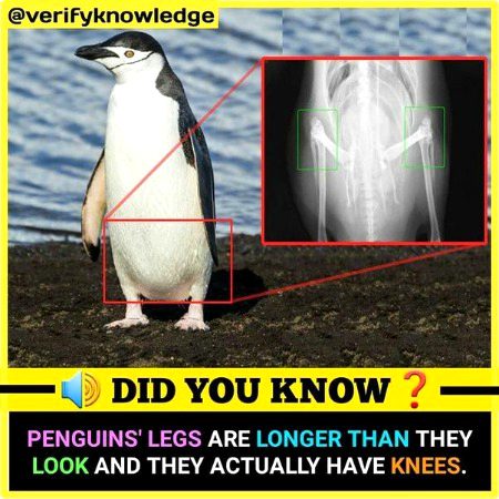 Interesting Posts image