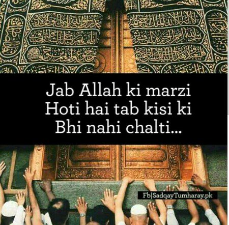 Islamic Quotes image