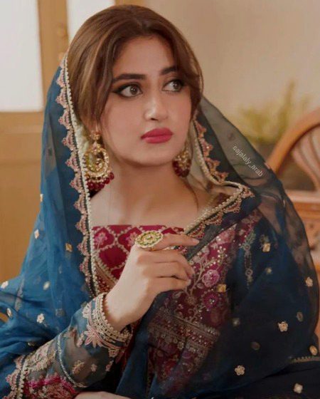 Pakistani Celebs image