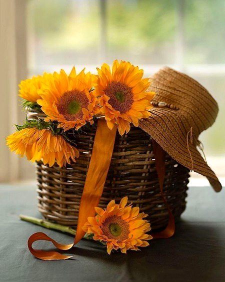 Beautiful Nature image