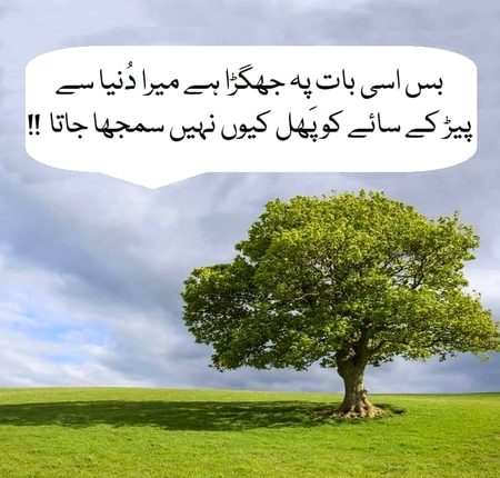 Attitude Quotes image
