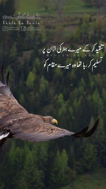 Attitude Poetry image