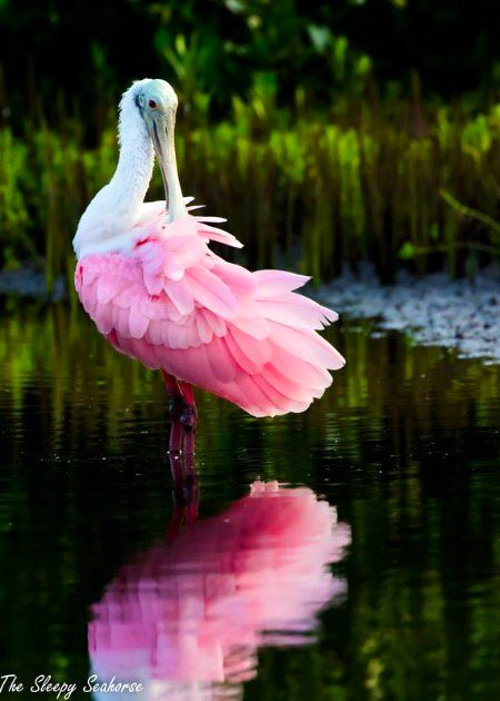 Beautiful Nature image