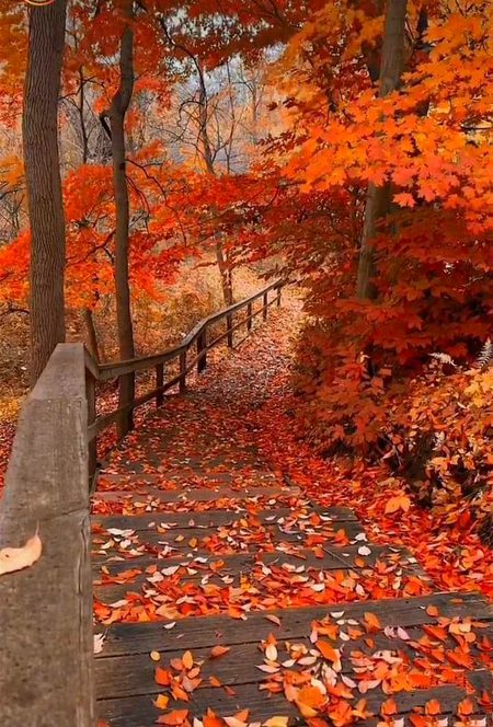 Beautiful Nature image