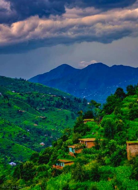 Beautiful Nature image