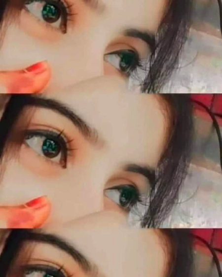 تحریروں کے ہنر سے واقف بھی ہوں ...
مگر شوق ہے کہ آنکھیں پڑھے کوئی ...