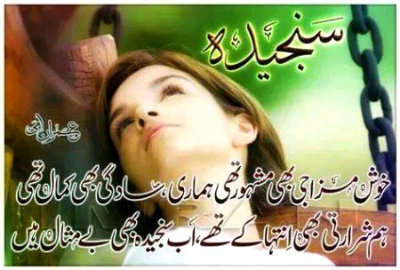 Sad Poetry image