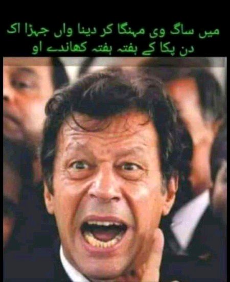 Memes & Satire image