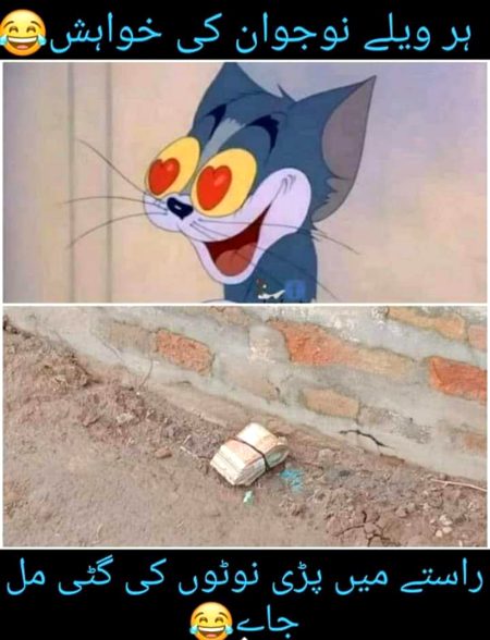 Memes & Satire image