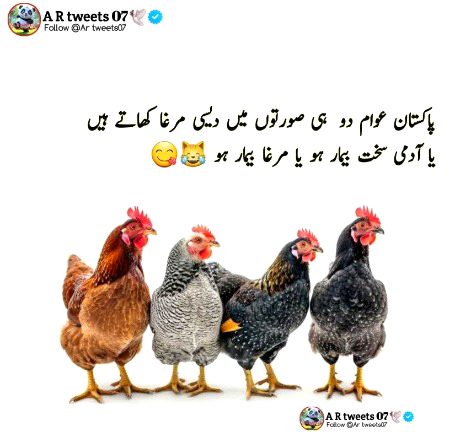 Memes & Satire image