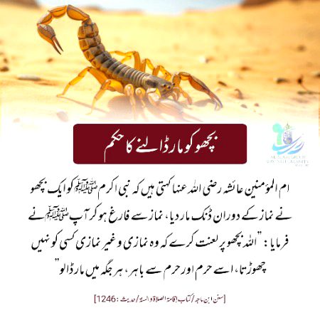 Namaz ho ya kuch aur, sharr ko har jagah khatam karna zaroori hai 🦂🤲”
