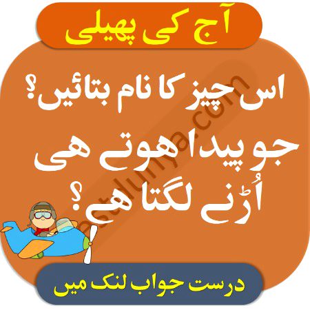 Riddles & Puzzles image