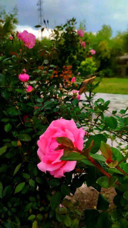 Beautiful Nature image