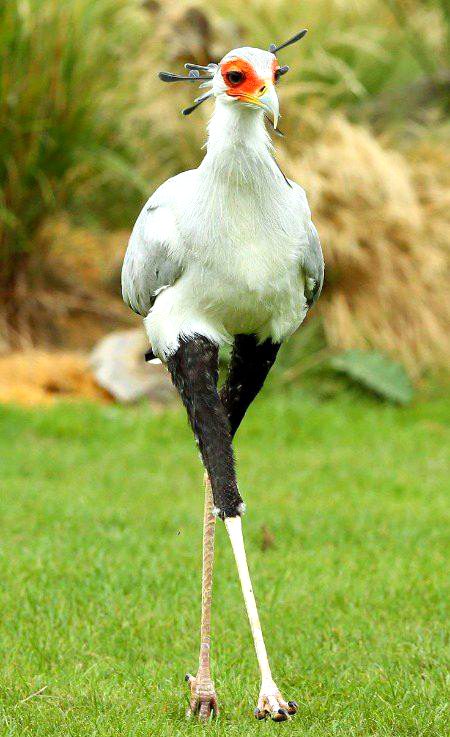 Beautiful Nature image