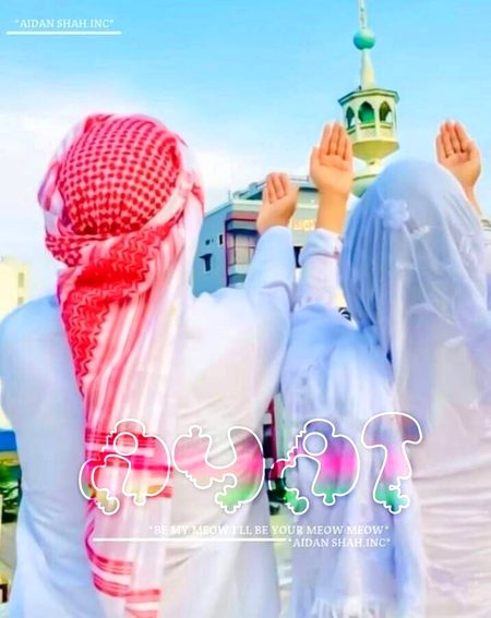 جب ہمسفر حسینی ہوں تو راستے جدا نہیں ہوتے.
یا تو ساتھ رہتے ہیں یا پھر ساتھ پرواز کر جاتے ہیں🔥 Mahii 💔