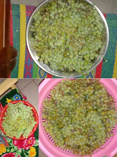 دیسی انگور😋😋🥀