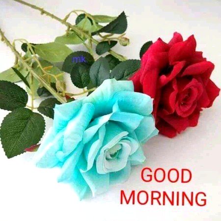 Beautiful Nature image