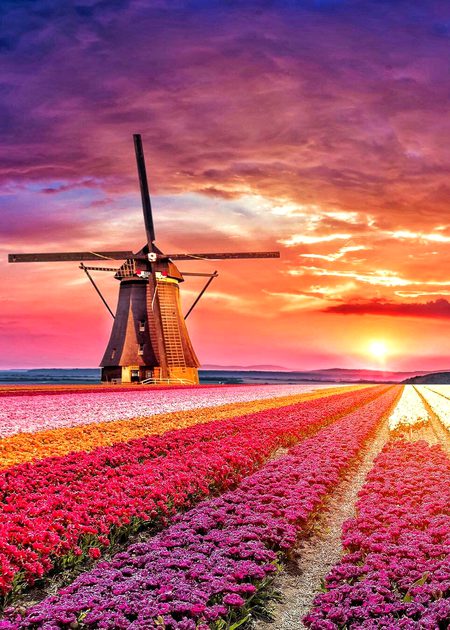 Beautiful Nature image