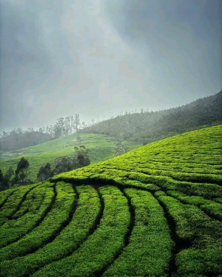 Beautiful Nature image