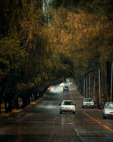 نئی منزلوں کا راہی ہوں میں 
جگنو۔