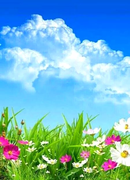 Beautiful Nature image