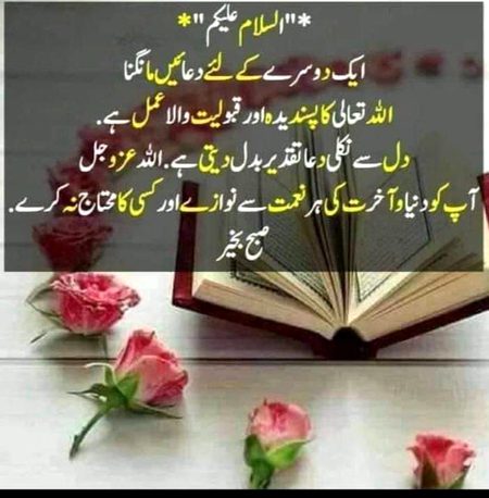 Islamic Quotes image