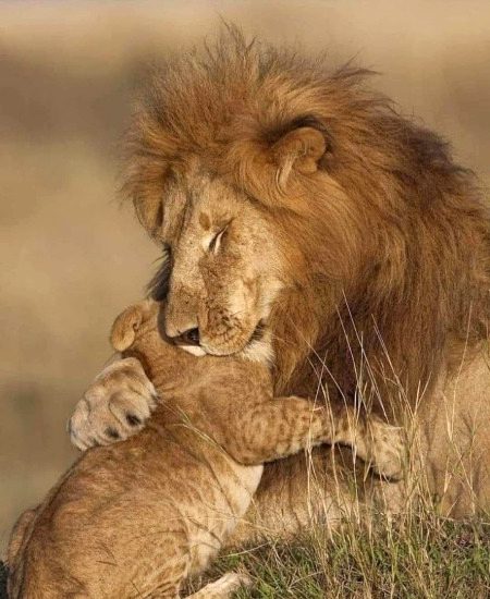 Beautiful Nature image