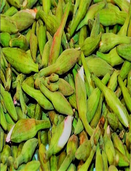 Beautiful Nature image