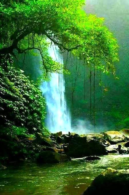 Beautiful Nature image