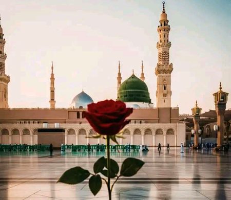 Beautiful Structures image