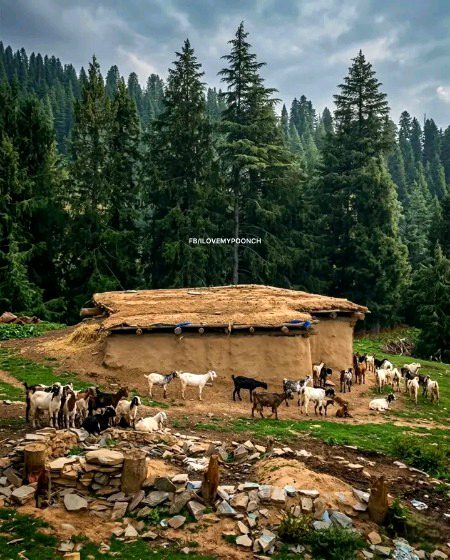 Beautiful Nature image