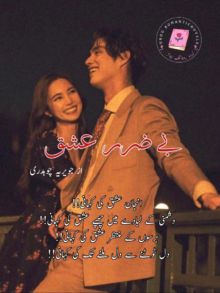 Romantic Novels image