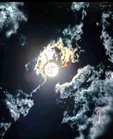 زندگی کے آخری مراحل ہیں🖤
نیند میں چند خواب حائل ہیں
ایک دنیا کے غم ہیں اوپر سے میرے اپنےمسائل ہیں🍂🖤