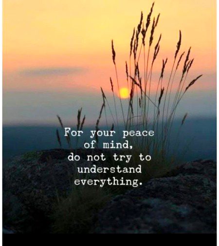 Life Advice image