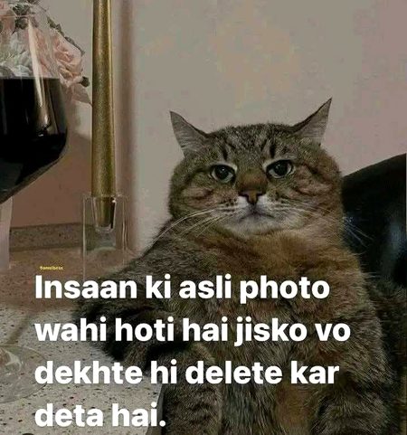 Memes & Satire image